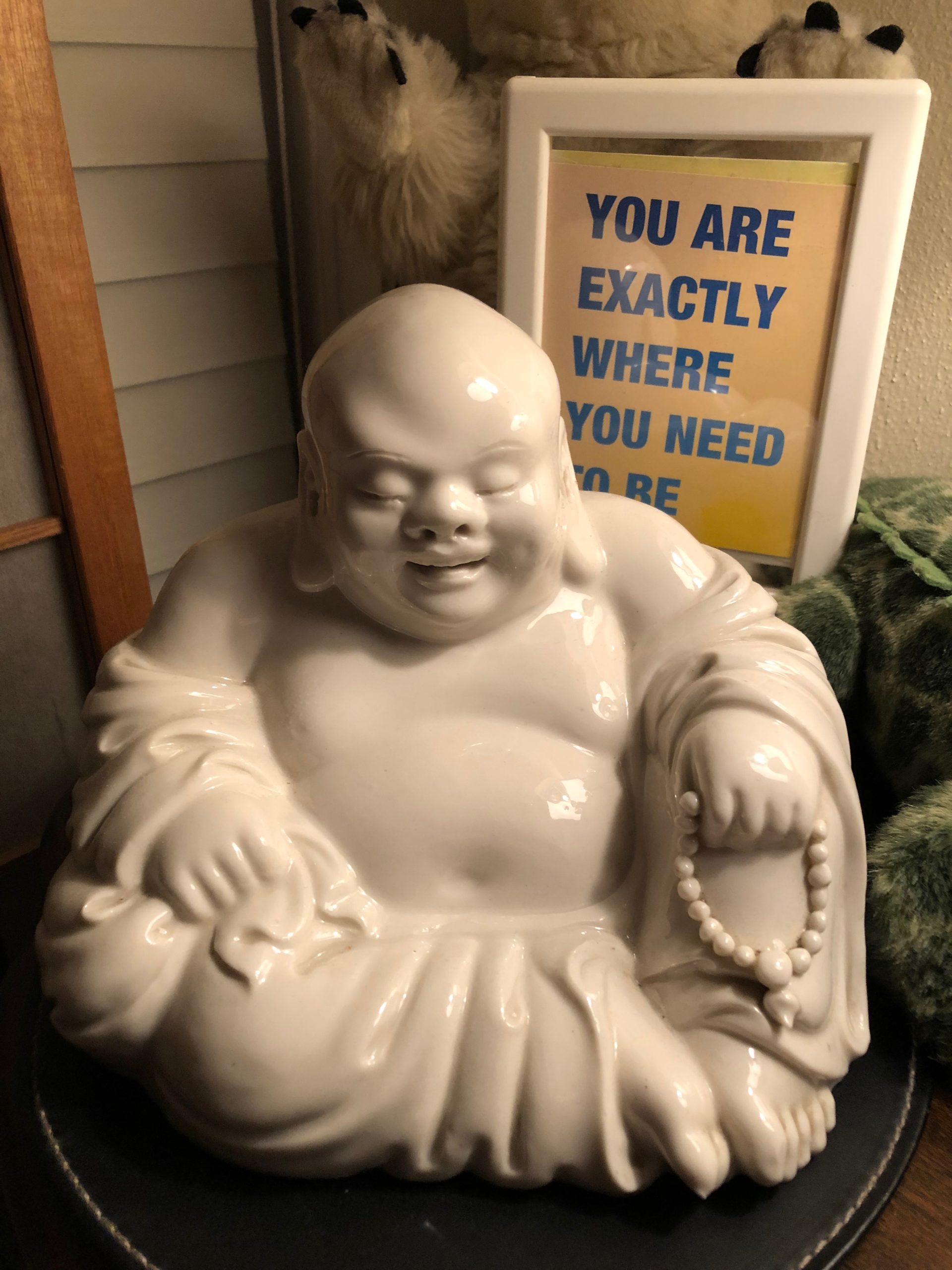 Buddha and sign:"You are exactly where you need to be"