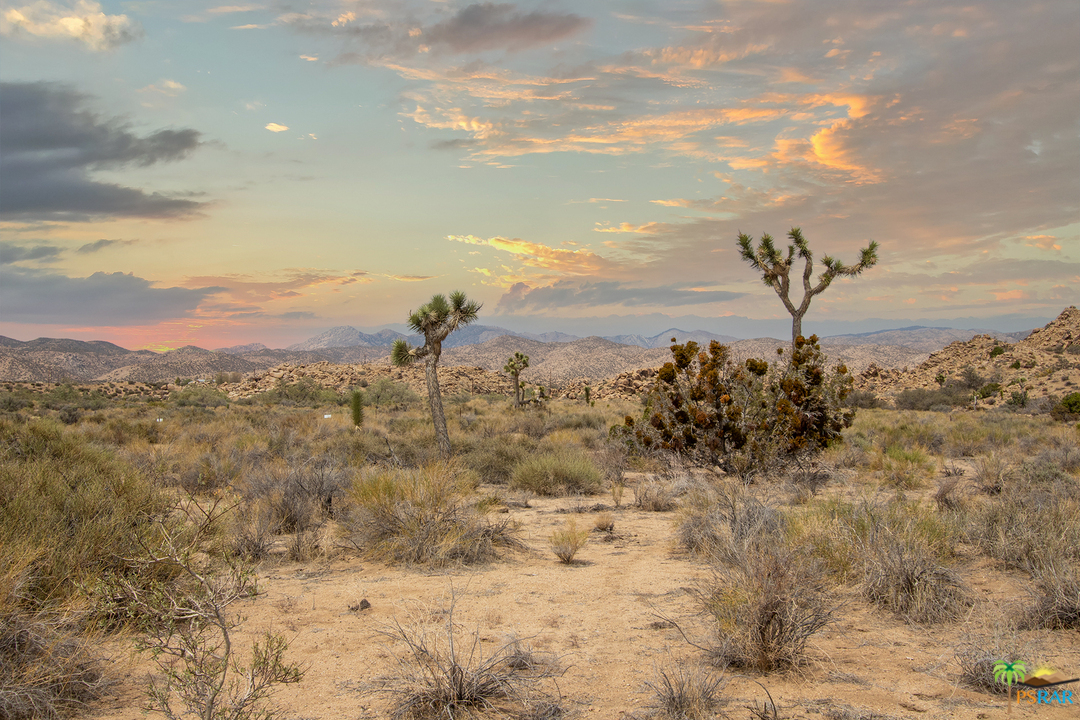 End of summer desert landscape